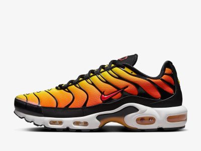 NIKE_AIR_MAX_PLUS.jpg